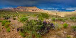 魔鬼诱惑耶稣不再服事神（路加福音4:1-13）