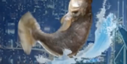 职场挣扎: 咸鱼翻生 (咸鱼复活) (粤语视频)