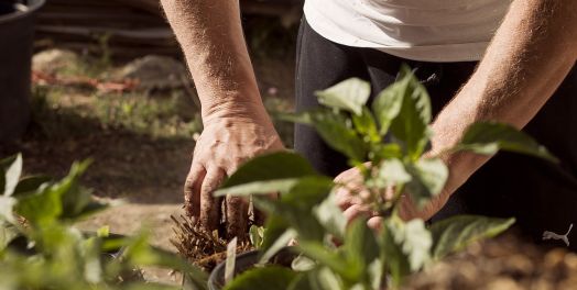 从上帝的工作看人类的工作意义 (上)(下)