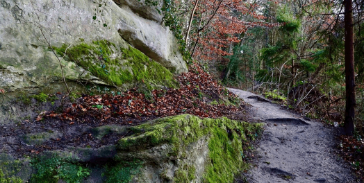 职场上的多样性