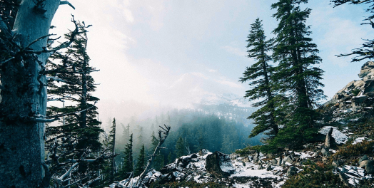 在职场上坚持神的计划