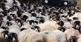 神在我们工作的困难中（诗篇23）