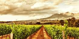 葡萄园中的工人（太 20:1-16）