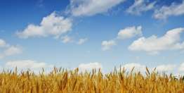 工作的比喻（马可福音4:26-29; 13:32-37）