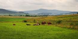 上帝的荣耀是至终的目标（林前10章）