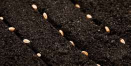 再怎么给神都不过分（林后9）