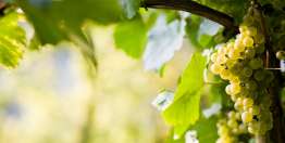 巴比伦和新耶路撒冷：双城记（启17-22章）