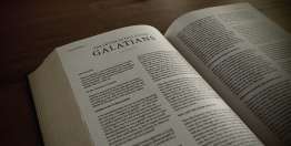 加拉太书与工作