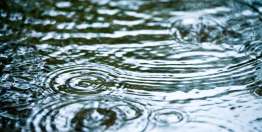 等待收获（雅各书5:7-20）