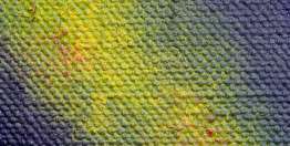 谁能明白上帝的智慧？（约伯记38:4-42:6）