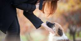 友谊（传4:7-4:16）