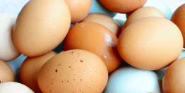 平安和繁荣（以赛亚书第九章以下）