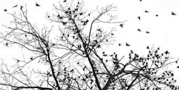 相信上帝的供应（耶利米书8 - 16章）