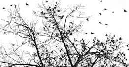 相信上帝的供应（耶利米书8 - 16章）