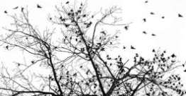 相信上帝的供应（耶利米书8 - 16章）