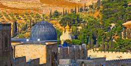 圣道与日常服事同样重要（使徒行传6:2-4）