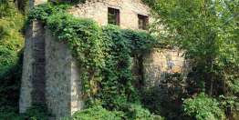 一个勤奋的工人是努力的（箴言）