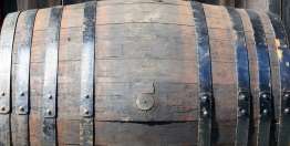 上帝使改变成为可能（何西阿14:1-9，阿摩斯9:11-15，弥迦书4:1-5，俄巴底亚21）