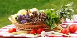 需要有社会资源（哈该书1:1-2:19）