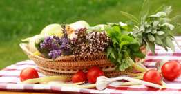 需要有社会资源（哈该书1:1-2:19）