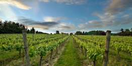 在工作中，既有罪，也有盼望（玛拉基书1:1-4:6）