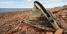 上帝关心那些回应祂呼召的人（拿1:3，12-14，17；2:10；4:3-8）