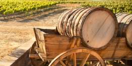 才德的妇人（箴31:10-31）