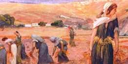 神的律法呼召富有的百姓给穷人提供经济机会（路得记2:17-23）