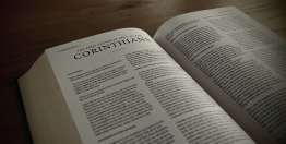 哥林多前书与工作